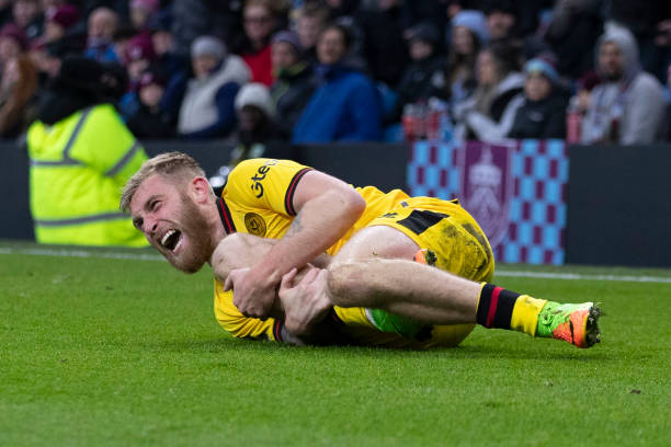 不仅能够构 不仅能够构